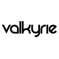 Valkyrie Trading logo